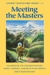 Book cover for Meeting the Masters