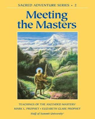 Book cover for Meeting the Masters