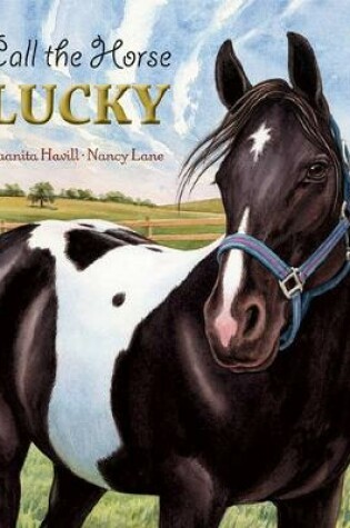 Cover of Call the Horse Lucky