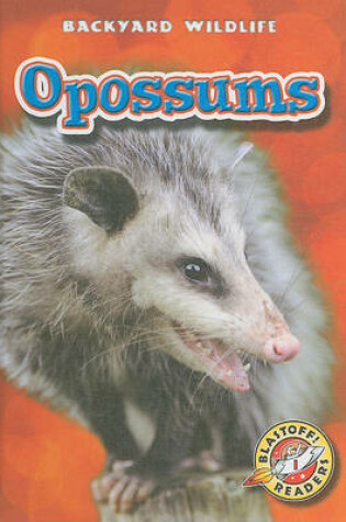 Cover of Opossums