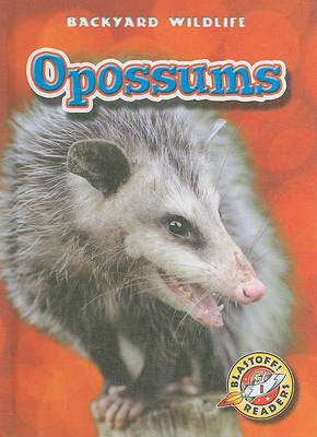 Book cover for Opossums