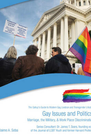 Cover of Gay Issues and Politics
