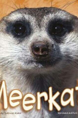 Cover of African Animals Meerkat