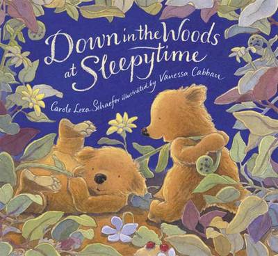 Book cover for Down In The Woods At Sleepytime Board Bo