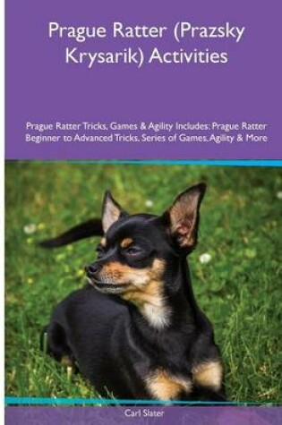 Cover of Prague Ratter (Prazsky Krysarik) Activities Prague Ratter Tricks, Games & Agility. Includes