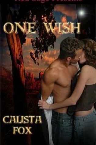 Cover of One Wish