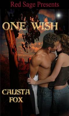 Book cover for One Wish