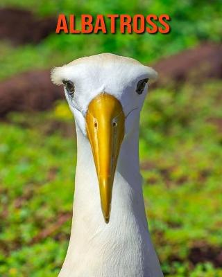 Book cover for Albatross