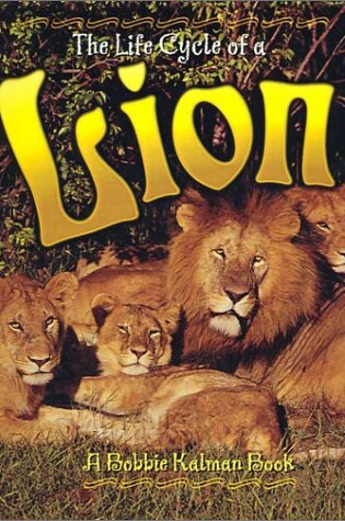 Cover of Lion