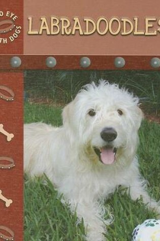 Cover of Labradoodles