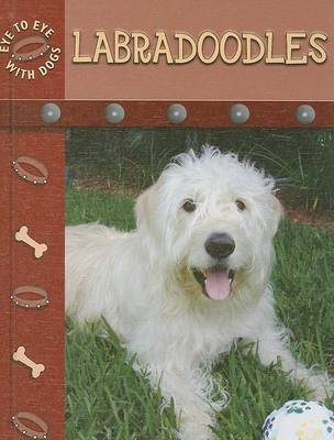 Book cover for Labradoodles