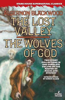 Book cover for The Lost Valley / The Wolves of God