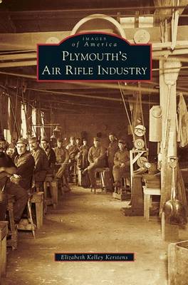 Book cover for Plymouth's Air Rifle Industry