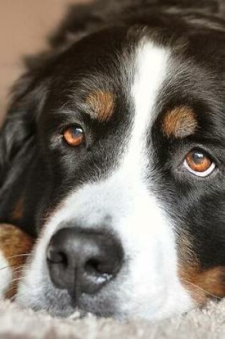 Cover of The Loving Eyes of a Bernese Mountain Dog Journal