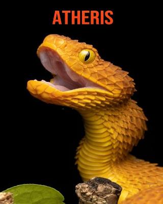 Book cover for Atheris