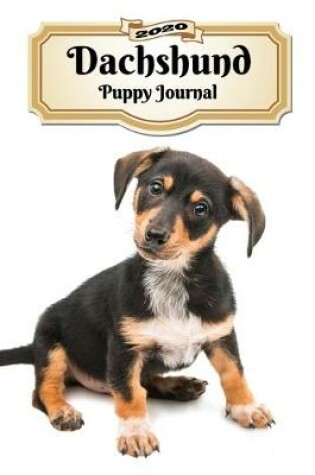 Cover of 2020 Dachshund Puppy Journal