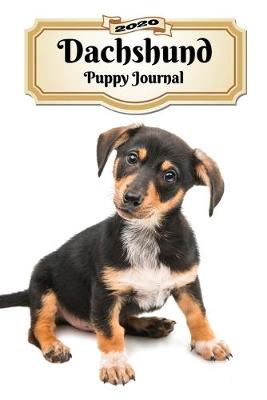 Book cover for 2020 Dachshund Puppy Journal