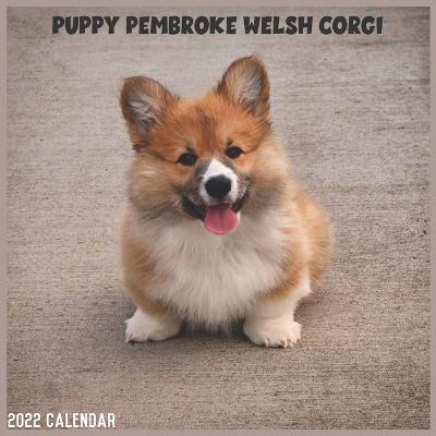 Book cover for Pembroke Welsh Corgi Puppy 2022 Calendar