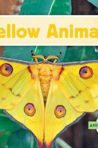 Cover of Yellow Animals