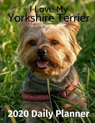 Book cover for I Love My Yorkshire Terrier