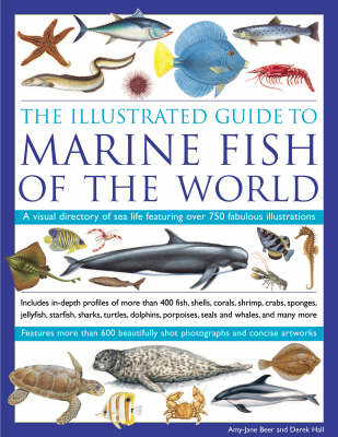 Book cover for Illustrated Guide to Marine Fish of the World