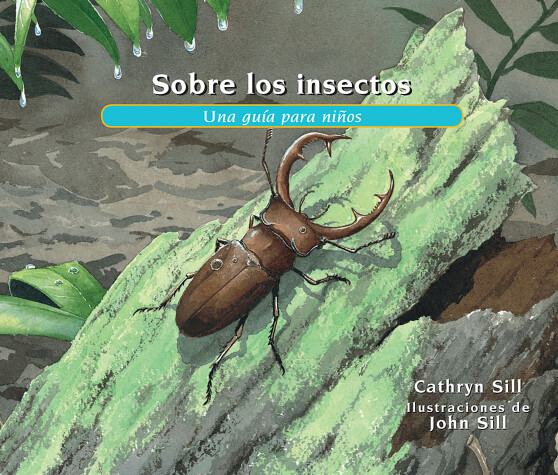 Book cover for Sobre los insectos