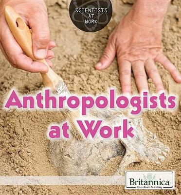 Book cover for Anthropologists at Work