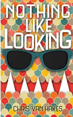 Book cover for Nothing Like Looking