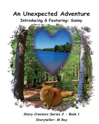 Cover of An Unexpected Adventure