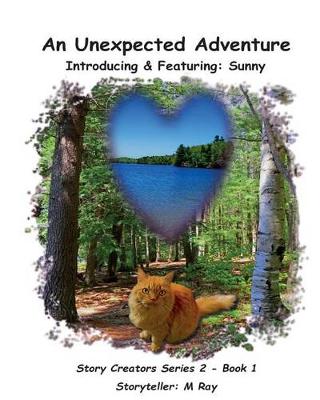 Book cover for An Unexpected Adventure