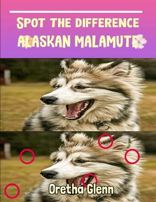 Book cover for Spot the difference Alaskan Malamute