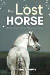 Book cover for The Lost Horse - Book 6 in the Connemara Horse Adventure Series for Kids | The Perfect Gift for Children