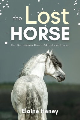 Cover of The Lost Horse - Book 6 in the Connemara Horse Adventure Series for Kids | The Perfect Gift for Children