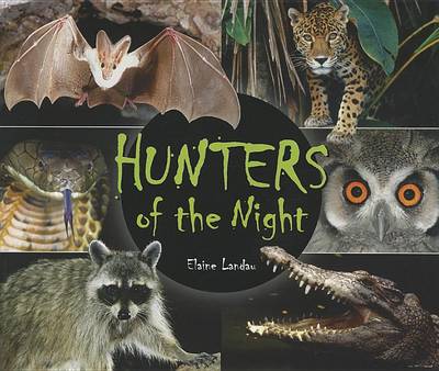Book cover for Hunters of the Night
