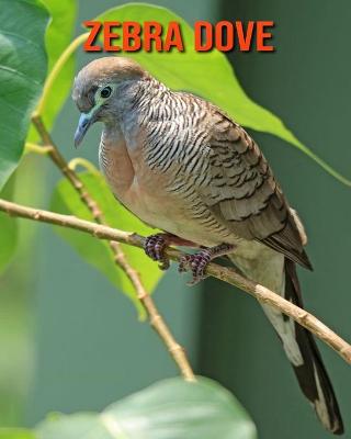 Book cover for Zebra Dove