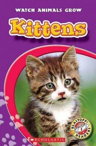 Cover of Kittens