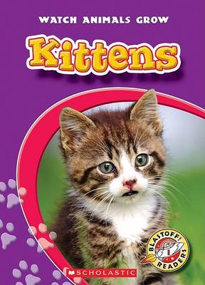 Book cover for Kittens