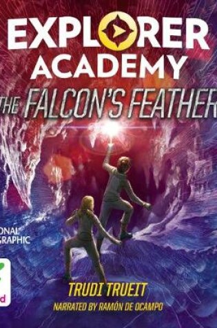 Cover of The Falcon's Feather