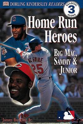 Book cover for Home Run Heroes