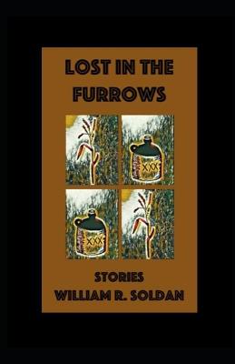 Book cover for Lost in the Furrows