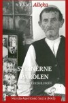 Book cover for Steinerne Parolen