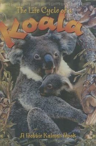 Cover of A Koala