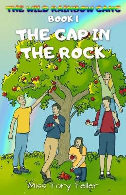 Book cover for The Gap In The Rock