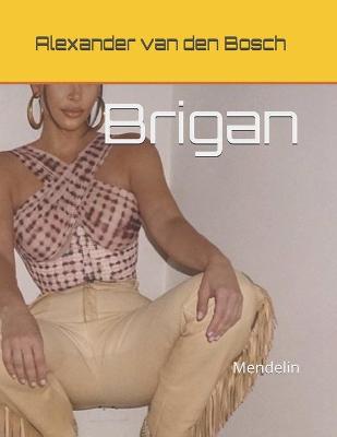 Book cover for Brigan