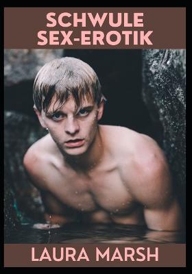 Book cover for Schwule Sex-Erotik