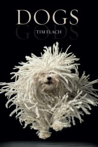 Cover of Dogs / Gods