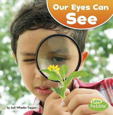 Book cover for Our Amazing Senses Our Eyes Can See