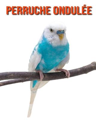 Book cover for Perruche Ondulée