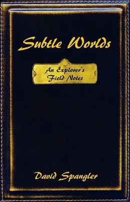 Book cover for Subtle Worlds