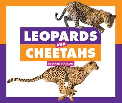 Book cover for Leopards and Cheetahs